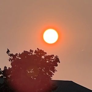 Meet your Posher, Elzebeth